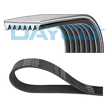 Water Pump Drive Belt Early 300TDI: ERR3287D. Land Rover Parts for Defender, Discovery, Range Rover. Top Quality Dayco